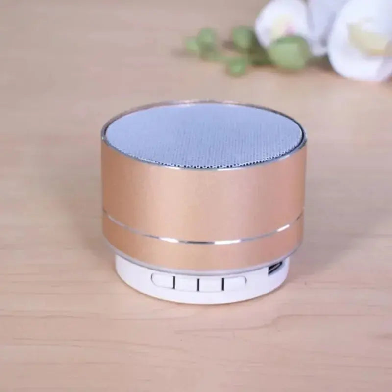 mini speaker broadcast