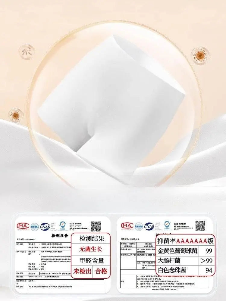 Daily Disposable High Waist Disposable Underwear for Pregnant Women - ACHETE LTD