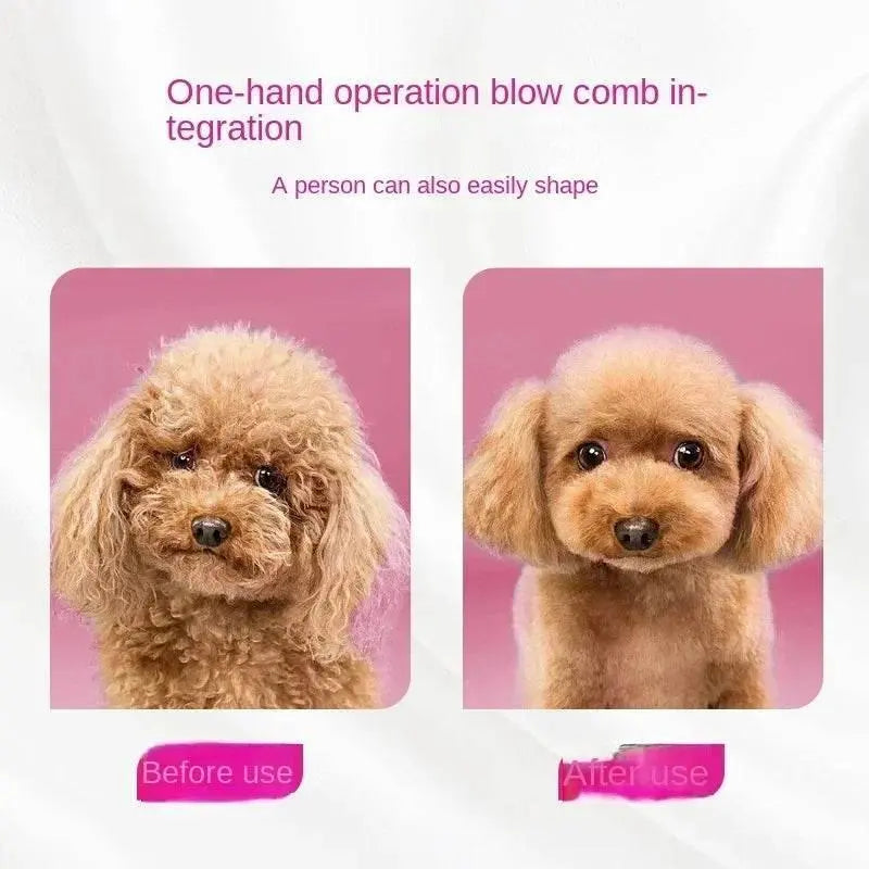 Pet Hair Dryer Dog Grooming Golden Retriever Hairdressing Dog Drying Brush Hair Comb Mute Not Hurt Hair Water Blower - ACHETE LTD