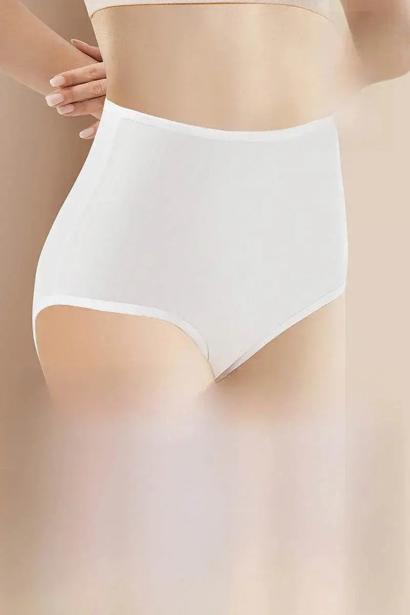 Daily Disposable High Waist Disposable Underwear for Pregnant Women - ACHETE LTD