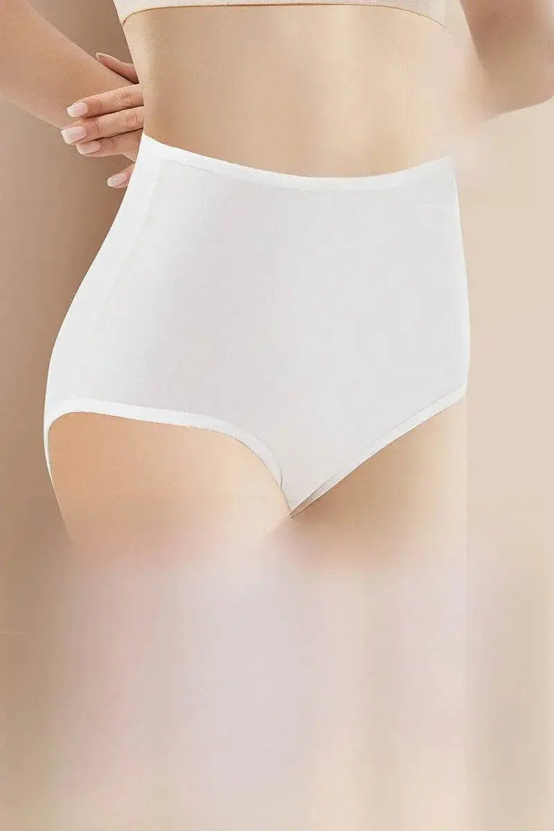 Daily Disposable High Waist Disposable Underwear for Pregnant Women - ACHETE LTD
