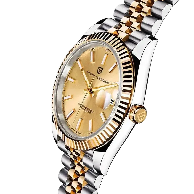 PAGANI DESIGN Men's Watches Top Brand Luxury Wrist Watch Mechanical Automatic Watch For Men Business Stainless steel Watch Men - ACHETE LTD