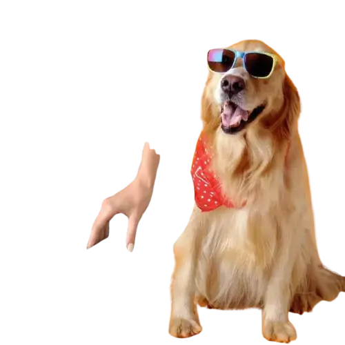 2-in-1 Grooming kit for pet dog hair dryer and professional grooming brush, handheld portable High speed force blower - ACHETE LTD